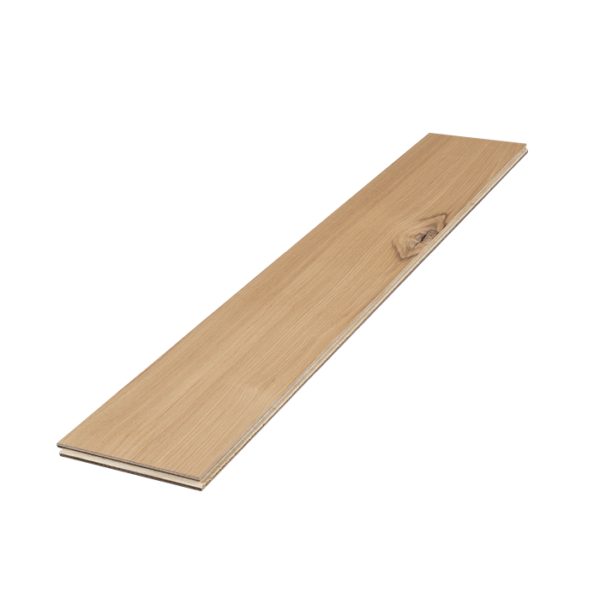 FEH-NH48512 - Image 2