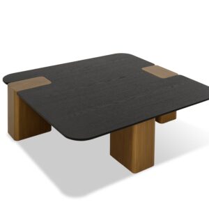 Modrest Harold - Modern Black Oak+ Brushed Gold Oak Square Small Coffee Table