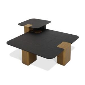 Modrest Harold - Modern Black Oak+ Brushed Gold Oak Square Small Coffee Table