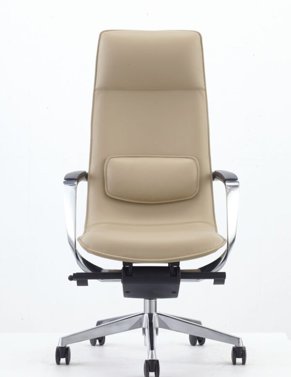 Modrest - Nadella Modern Beige High Back Executive Office Chair - Image 3