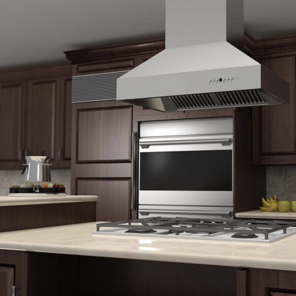 ZLINE Outdoor Approved Island Mount Range Hood in Stainless Steel (697i-304) - Image 2