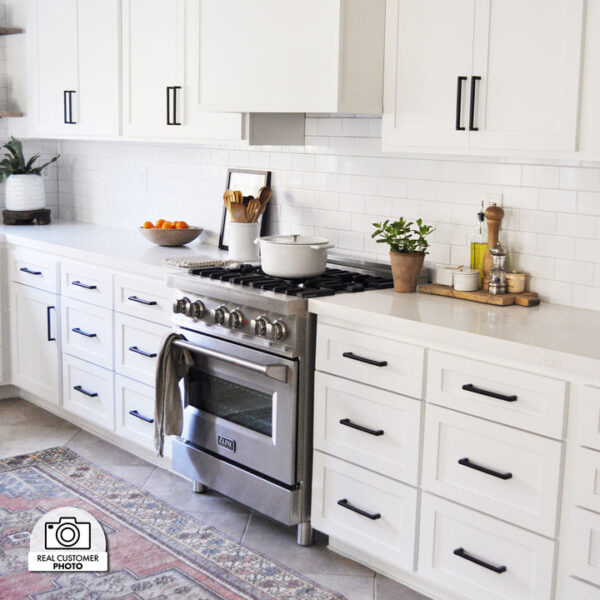 ZLINE Ducted Wall Mount Range Hood Insert in Stainless Steel (698) - Image 12