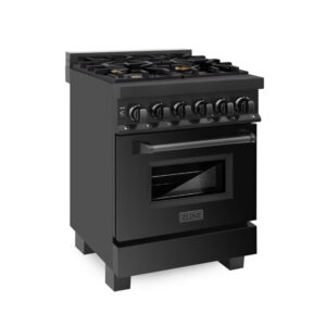 ZLINE 24 in. Professional Dual Fuel Range in Black Stainless Steel (RAB-24)